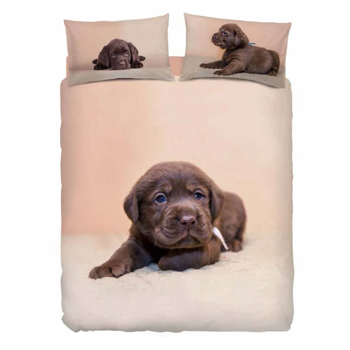 Completo Copripiumino Chocolate Di Bassetti Matrimoniale K621 3 Completo Copripiumino Chocolate Di Bassetti Matrimoniale K621