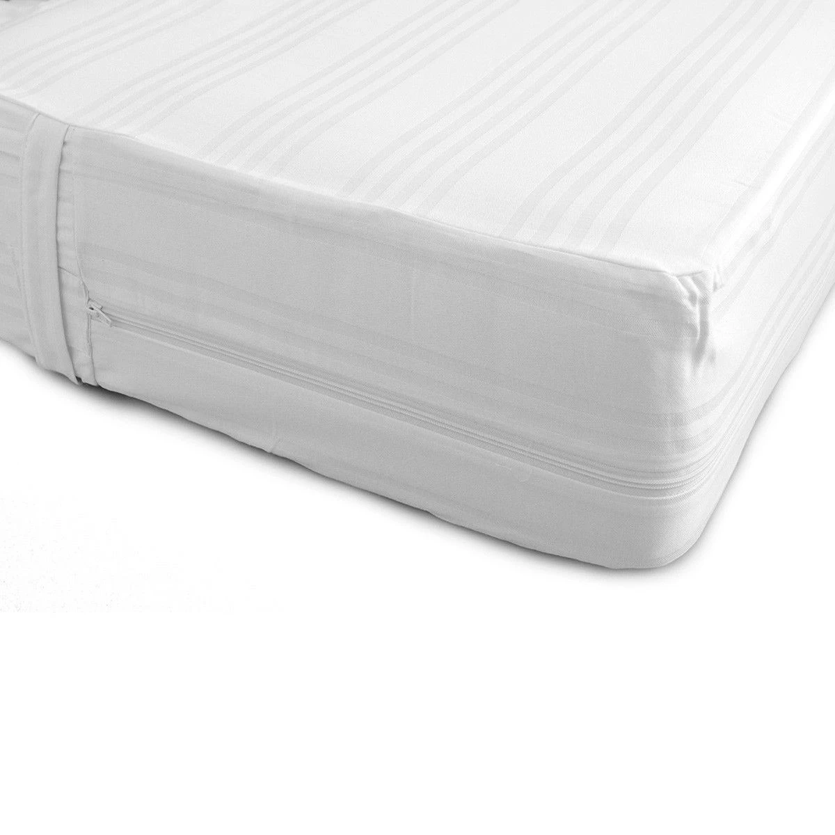 Fodera Coprimaterasso Aster Biancaluna Rigata C/cerniera - Dimensioni Varie S986 3 Fodera Coprimaterasso Aster Biancaluna Rigata C/cerniera - Dimensioni Varie S986