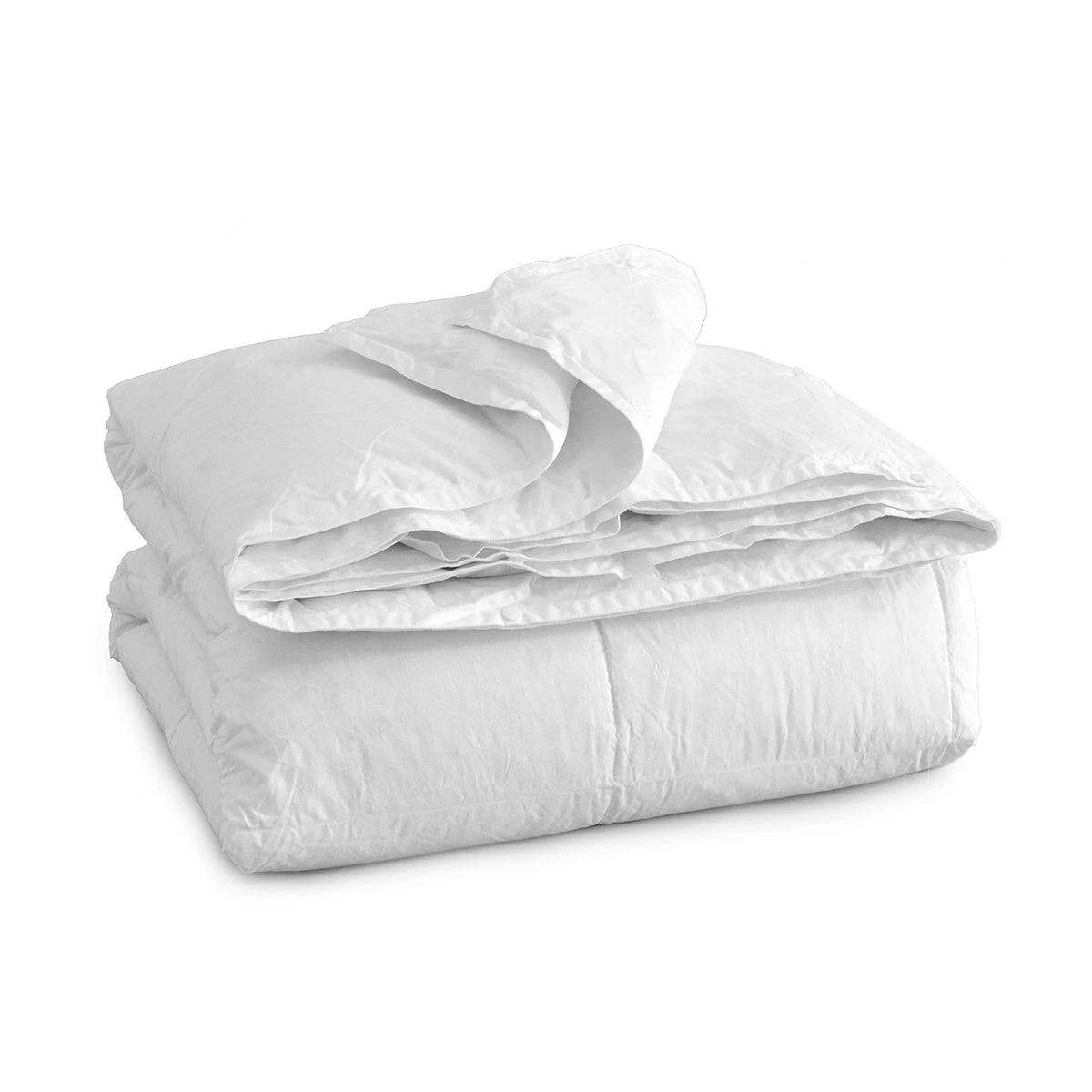 Piumino Bassetti 4 Stagioni 30% Piumino 70% Piumetta - Dimensioni Varie P939 4 Piumino Bassetti 4 Stagioni 30% Piumino 70% Piumetta - Dimensioni Varie P939 - immagine 2