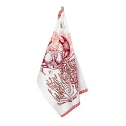 Set 6 Strofinacci Cucina Asciugapiatti Ocean In Spugna J711 9 Set 6 Strofinacci Cucina Asciugapiatti Ocean In Spugna J711 -Prodotti Per La Casa set 6 strofinacci cucina asciugapiatti ocean in spugna 3